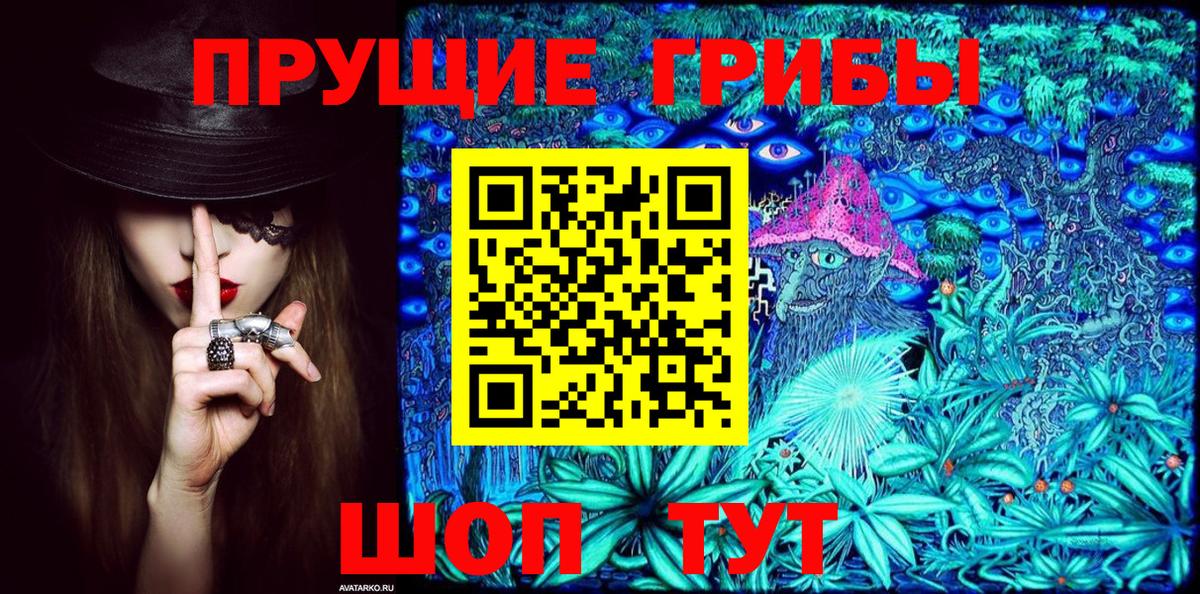Галлюциногенные грибы Psilocybine cubensis  Галлюциногенные грибы прущие грибы  Вход с VPN  Луховицы 
