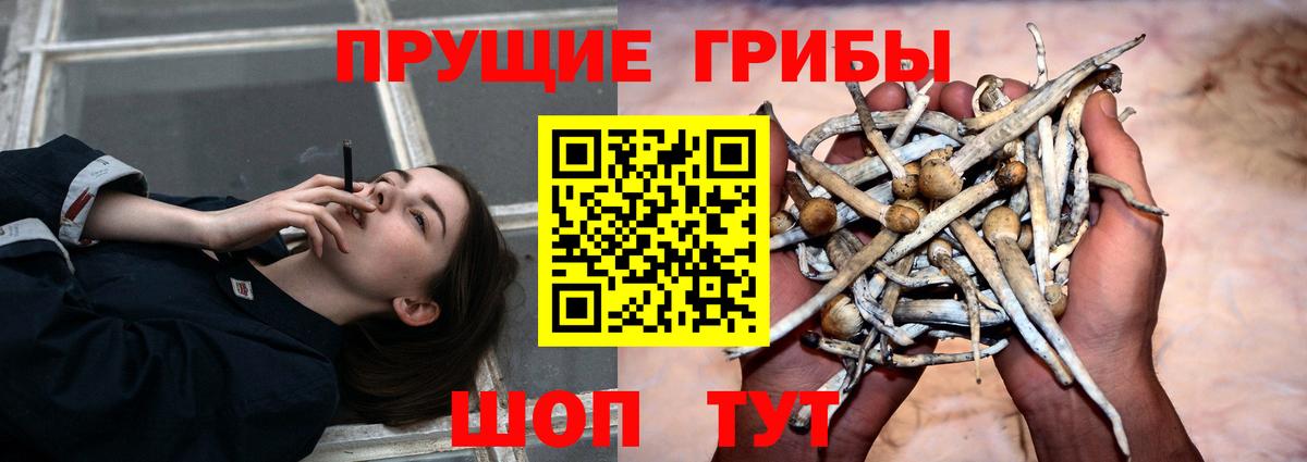 Галлюциногенные грибы Magic Shrooms Луховицы